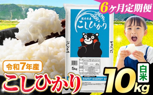 【6ヶ月定期便】令和7年産  白米 こしひかり 10kg(5kg×2袋)《お申込みの翌月出荷》熊本県産 ふるさと納税 白米 精米 ひの 米 こめ ふるさとのうぜい コシヒカリ コメ お米 おこめ