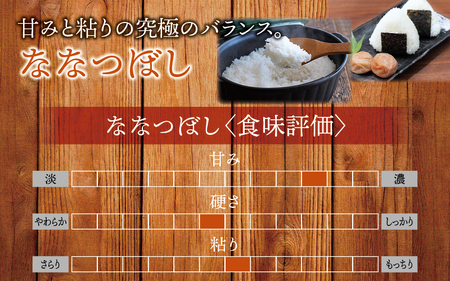 【令和7年産】玄米 ななつぼし 10kg (10キロ) 【kja400-nana-g10-R7】