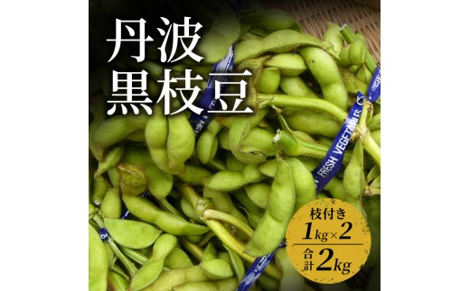 
                  [№5334-0704]丹波黒枝豆　1kg（枝付き）×2 | 野菜 えだまめ えだ豆 おつまみ 京都府 南丹市
                
