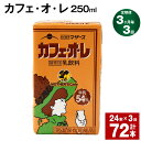 【ふるさと納税】【定期便】【3ヶ月毎3回】カフェ・オ・レ 250ml 24本 計72本（24本×3回） カフェオレ 牛乳 コーヒー 珈琲 乳飲料 らくのうマザーズ ジュース ドリンク 熊本県産 国産 九州 熊本県 菊池市 送料無料