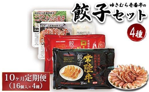 
            【10ヶ月定期便】ゆきむら壱番亭の4種の餃子セット ※離島への配送不可
          