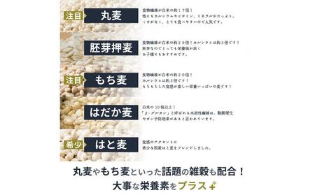 国産麦5種ブレンド 9kg(450g×20袋)