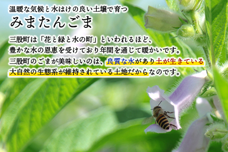 数量限定＜生搾り 金ごま油2本セット＞(100g入り×2本)宮崎県産金ごま使用！すっきりとしたごま本来のピュアな味が特徴！【MI248-sm】【しも農園】