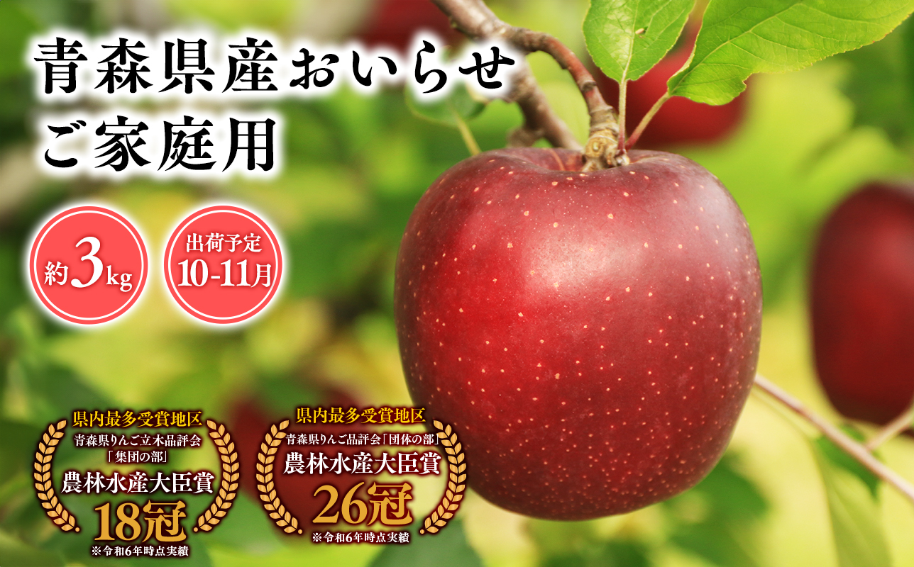 2026年産 １０月・１１月発送　【訳あり】家庭用おいらせ3kg【青森県 平川市 そと川りんご園】