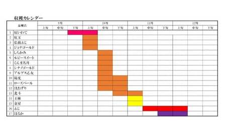 【100箱限定】 10月から発送 米崎りんご 2品種以上食べ比べBOX 10kg りんご