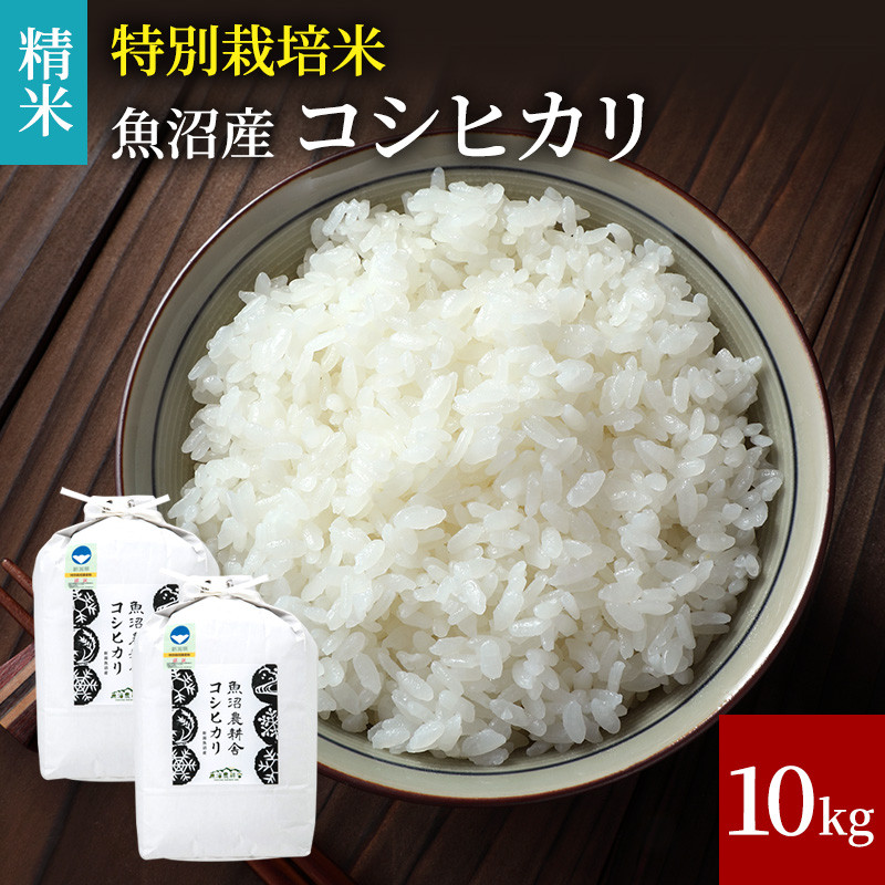 
[№5762-0794][令和5年産]特別栽培米 魚沼産コシヒカリ（精米）10kg
