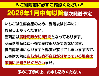 ＜先行予約受付中！2026年1月中旬以降順次発送予定＞鹿児島県産いちご(さがほのか「秀大」・計約1.4kg・40粒×2箱) 鹿児島 阿久根 果物 フルーツ イチゴ いちご 苺 さがほのか デザート お