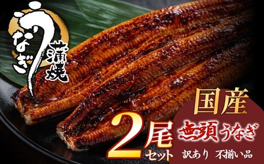 
                  AD308.【不揃い訳あり】うなぎの蒲焼き2尾セット
                