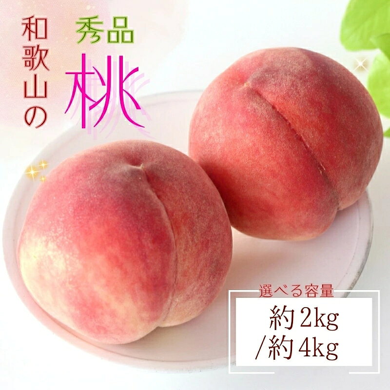 【ふるさと納税】【農園直送】朝採れ和歌山の桃・秀品【2026年度発送分】【選べる容量】※2026年6月下旬～2026年8月上旬頃順次発送 / もも フルーツ 果物 ジューシー くだもの ギフト 人気 贈り物 贈答 プレゼント 元 和歌山 モモ 【選べる容量】