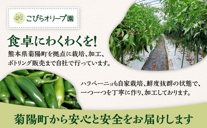 ハラペーニョ ピクルス3種セット 合計420g / 醤油漬け ピクルス クラッシュ ハラペーニョ 調味料 熊本 菊陽町【こびらオリーブ園】 [BHBL010]