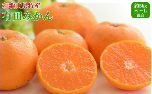 【秀品】和歌山有田みかん 約5kg（S～Lサイズ混合）【2025年11月中旬～2026年1月下旬頃発送予定】【TM95】
