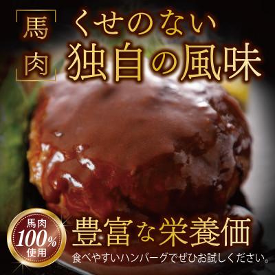 ふるさと納税 泉佐野市 【毎月定期便】馬肉ハンバーグ 120g×10個 全3回 099Z316 |  | 01