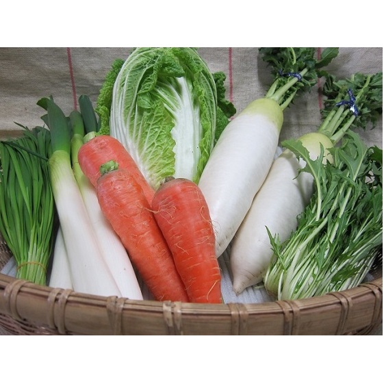 定期便 野菜セット 年6回 2か月に1回×6回 おまかせ 10～15種 旬 朝倉市産 配送不可 離島 詰合せ _イメージ4