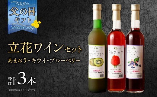 
                  【6月8日～八女の日企画】 【父の日ギフト】ワイン3本セット【あまおうワイン、キウイワイン、ブルーベリーワイン】 父の日にお届け 父の日ギフト 贈り物 父の日 セット 純米酒 梅酒 立花町産 ワイン フルーツワイン おしゃれ 贈り物 酸味 甘み バランス 上品 福岡県 八女市
                