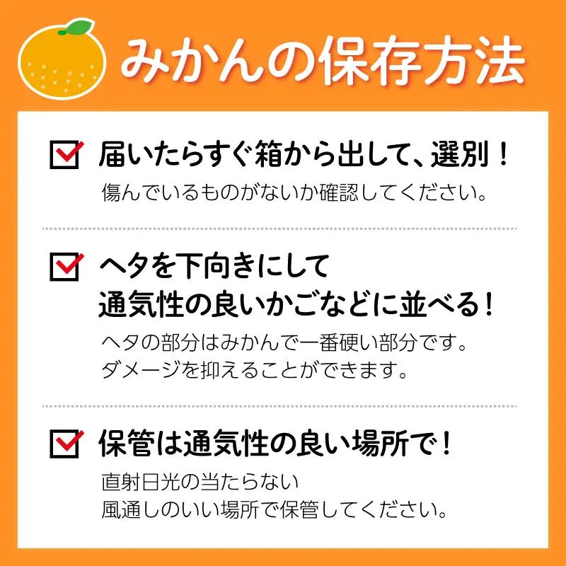 【10月下旬発送】早生みかん 10kg 先行予約 みかん