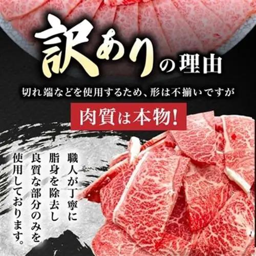 【訳あり】飛騨牛切り落し焼肉用600g【配送不可地域：離島】【1708987】