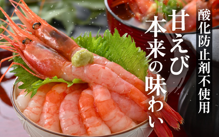 【年内発送】お世話になったあの方へ☆【のし付き】天然！越前甘エビ【大サイズ・卵あり】500g/1箱 [m17-a063]