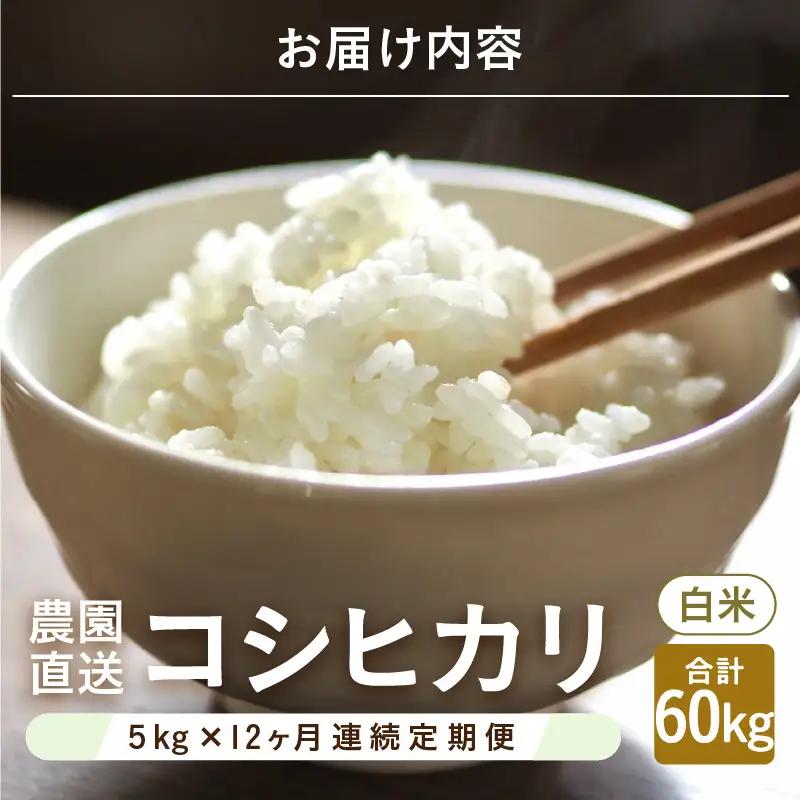【先行予約】【令和8年産・新米】【農家直送定期便 12ヶ月コース】【白米】 本原農園のまごころコメた 福井県産 コシヒカリ 5kg × 12回 計60kg 【2026年10月上旬以降順次発送】 [L-