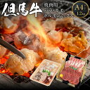 【ふるさと納税】A4ランク 但馬牛 焼肉用 700g(バラ350g モモ350g) / ホルモンミックス 500g セット 計1.2kg 送料無料 食べ比べ 黒毛和牛 盛り合わせ ホルモン センマイ 腸 レバー ミノ 焼肉 焼き肉 やきにく経産牛 赤身 和牛 肉 お肉 BBQ バーベキュー グルメ 冷凍 02-28