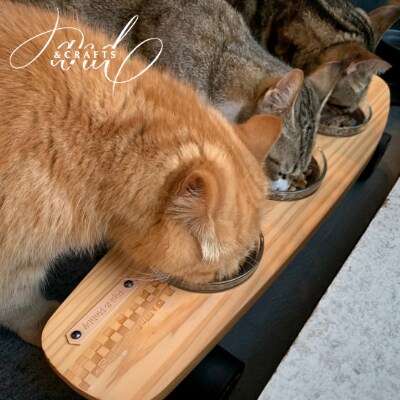 【＆CRAFTS】Pet bowls stand−3BOWLS−(Black)※名入れプレート付き【1257967】