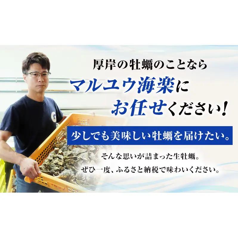 牡蠣 LLサイズ 20個 カキえもん 厚岸で産まれ30ヵ月育成 牡蠣