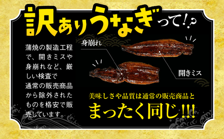 【土用の丑の日お届け】国産うなぎ蒲焼 500g 国産うなぎ 蒲焼   うなぎ うなぎ うなぎ  うなぎ 期間限定 期間限定 期間限定 期間限定 期間限定 期間限定