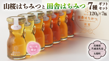 【桜川市限定】 山桜 はちみつ と 田舎 はちみつ 全7種 ギフトセット [結蜜 Musubi-R7山桜] 【茨城県共通返礼品／五霞町】 120g×7 瓶 生ハチミツ 非加熱 国産 国産はちみつ ハチミツ 茨城県産 [BS006sa]	