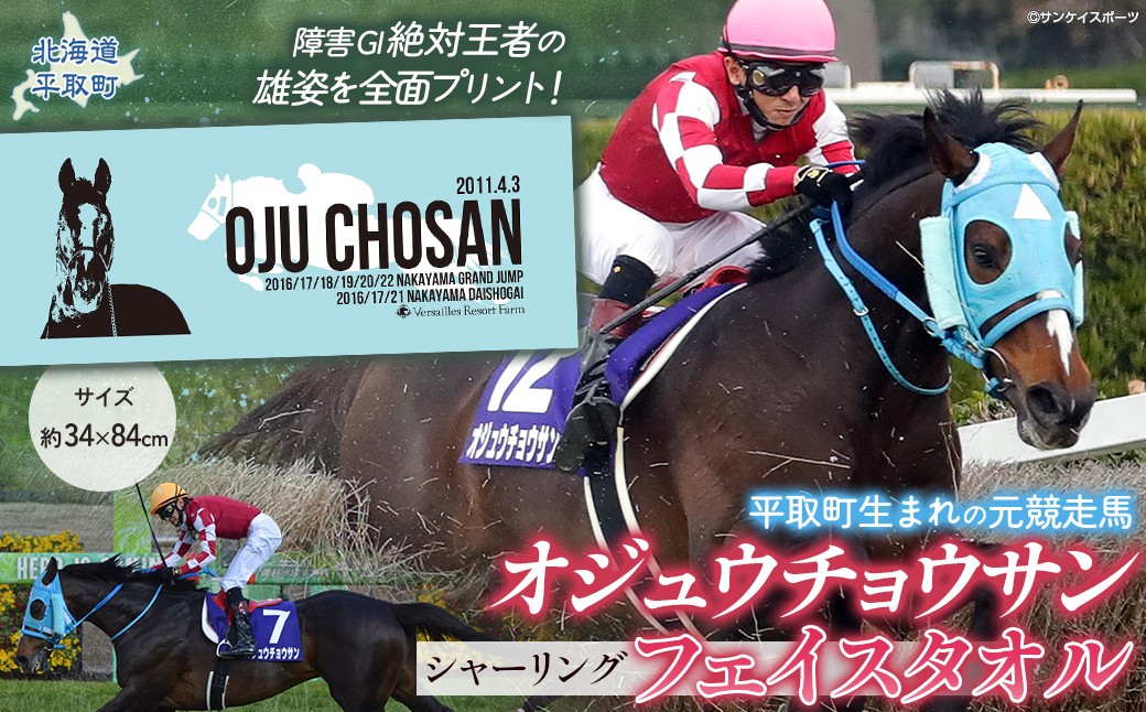 
                  【オジュウチョウサン】シャーリングフェイスタオル【ふるさと納税 人気 おすすめ ランキング 馬 競馬 競走馬 オジュウチョウサン グッズ 北海道 平取町 びらとり 送料無料】 BRTV010
                