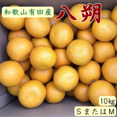 【日高町】【手選果】有田産の八朔約10kg(SまたはMサイズいずれかお届け)【1481683】