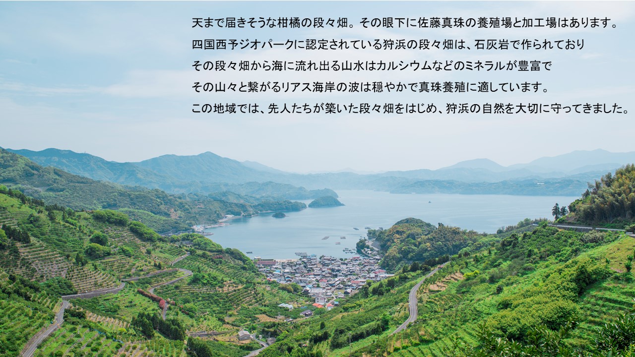 ＜明浜産真珠ネックレス 〜つなぐ〜＞ 保証書付き 7.5〜9.5mm 純国産 高品質 アコヤ真珠 しんじゅ 宇和海 パール 大粒 アクセサリー フォーマル ファッション レディース 女性 誕生日 記念