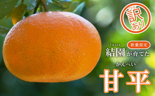 【ふるさと納税】甘平 みかん【生産者直送】＜愛媛限定栽培＞4kg 2月発送開始予定（濃い甘み / たっぷり果汁 / 少ない酸味） ミカン 西之香 と ポンカン の交配種 有名 高級 人気 ブランド 訳あり かんぺい 蜜柑 柑橘 果物 フルーツ 国産 送料無料 愛媛 愛南町 結園 15000