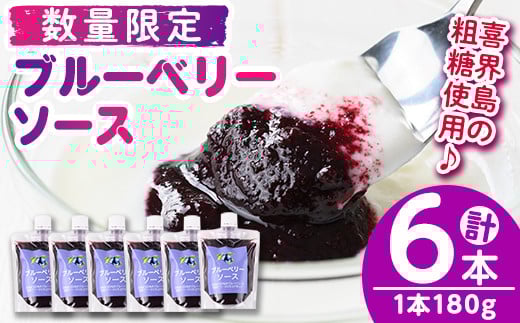 
            s520 ≪毎月数量限定≫ブルーベリーソース(計6本・1本180g) 鹿児島 国産 九州産 フルーツ 調味料【田野農園】
          