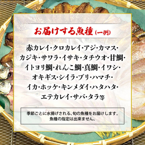 【2月上旬発送】 訳あり旬のこだわり干物 3kgセット ： 京都 舞鶴 かね和 小分け 冷凍 個包装 冷凍 3キロ 詰め合わせ 干物 人気 カマス エテカレイ アジ フィレ ひもの 不揃い お任せ こ