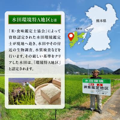 ふるさと納税 天草市 【6ヶ月定期便】天草五ッ星米 精米 5kg_S061-T06A |  | 02