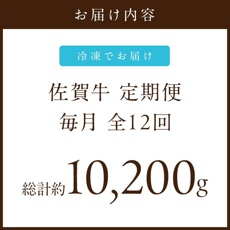 【発送月固定 定期便】肉のプレミアム定期便! 毎月 佐賀牛 をお届け!全12回 J1173