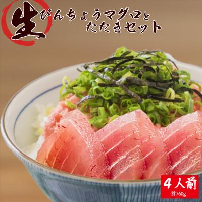 ふるさと納税 紀美野町 那智勝浦直送!天然もちもち生ビン長まぐろとたたきセット　4人前