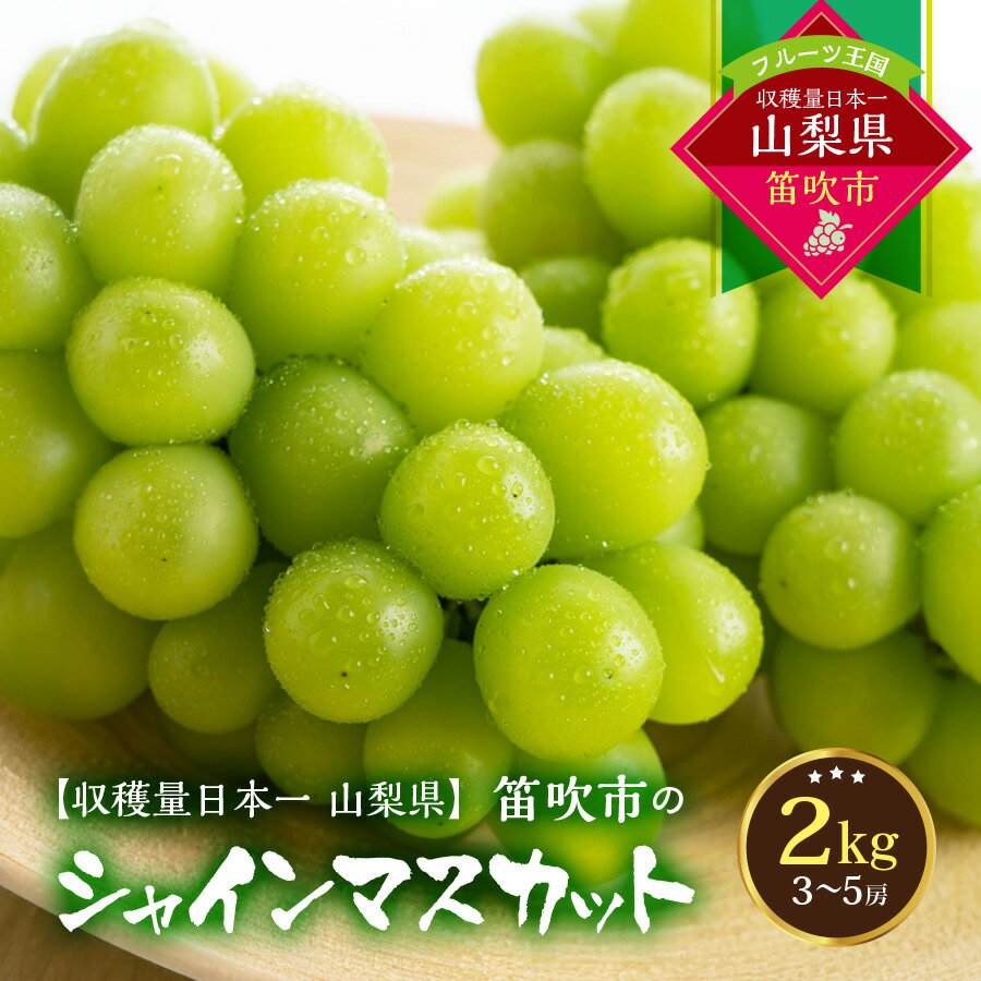 【ふるさと納税】【2026年発送★先行予約】葡萄の一大産地！笛吹市産シャインマスカット2kg 167-012 ふるさと納税 シャインマスカット 笛吹市 国産 人気 期間限定 ぶどう ブドウ 葡萄 旬 果物 フルーツ 山梨県 送料無料