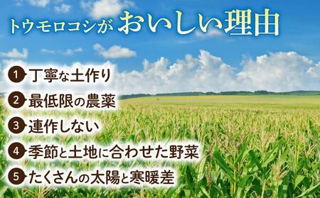 【先行受付2026年発送】生でもすごく甘い！生きた土壌で育った『とうもろこし』2Lサイズ12本｜里山JAPAN　※2026年7月中旬以降発送予定