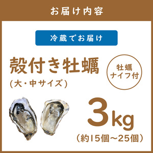 【予約：2024年11月上旬から順次発送】サロマ湖産 殻付き2年牡蠣 3kg サイズ不揃い ※牡蠣ナイフ付 ( カキ かき 3キロ 魚介 海鮮 貝 ふるさと納税 BBQ バーベキュー )【113-00