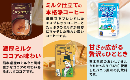 【6ヶ月定期便】常温保存可能 らくのうマザーズ 詰め合わせ セット合同会社たべたせいか《申込月の翌月から出荷開始》熊本県 菊池市 カフェオレ いちご ミルクココア 大阿蘇牛乳 コーヒー おいしいミルク