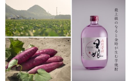 本格芋焼酎 鳴門金時里娘 2本　鳴門金時　里娘　やわらか　ほっこり　敬老の日　お歳暮　父の日　芋焼酎