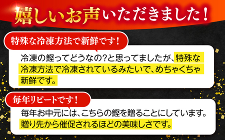 【4回定期便】完全ワラ焼き鰹たたき「龍馬タタキ」 (家庭用) 2節セット / かつお カツオ カツオのたたき 高知 わら 【株式会社Dorago】[ATAM035]