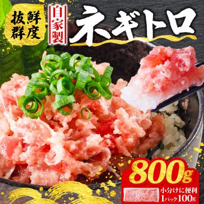 ふるさと納税 松山市 【まぐろ屋さんのねぎとろ】自家製ねぎとろ　小分けだから使いやすい♪　800g(100g×8パック)