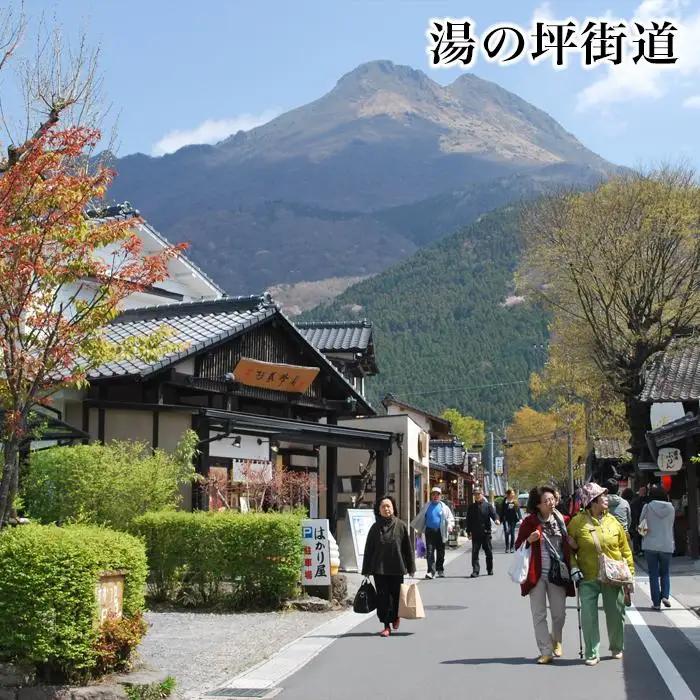 【湯布院、由布院、湯平、塚原高原】JTBふるさと旅行券（90,000円分）有効期間5年 | 予約 宿泊 観光 体験 温泉 ホテル 旅館 チケット 子供 子連れ カップル 家族 店頭 電話 由布市