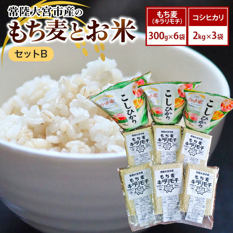 【ふるさと納税】常陸大宮市産のもち麦とお米セットB 大麦 雑穀 白米 コシヒカリ 食物繊維 健康 茨城県 送料無料 【オノセダイコク（株）】 【ho1255】