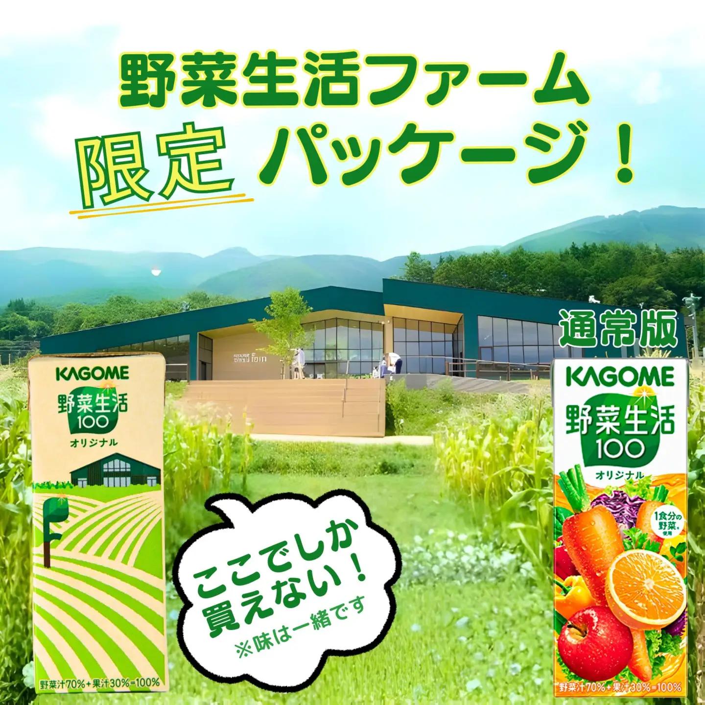 【 定期便9ヶ月連続お届け 】野菜生活ファーム限定パッケージ カゴメ 野菜生活100 オリジナル 200ml 紙パック