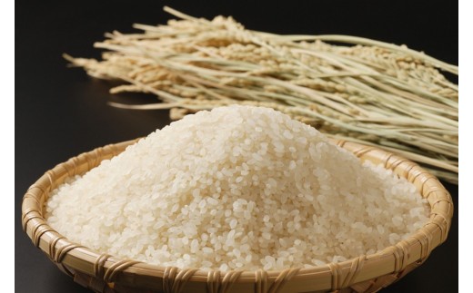 あぐりん村の令和7年度産 愛知県長久手市産「あいちのかおり」精米5kg［ 長久手市 あぐりん村 長久手産 あいちのかおり 精米5kg ブランド米 人気 おすすめ ギフト プレゼント お取り寄せ 通販 送料無料 ふるさと納税 ］