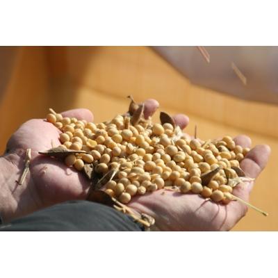 ふるさと納税 多可町 自然栽培味噌「結」と国産有機醤油、味噌、ゆずポン酢、だし醤油詰め合わせ　532 |  | 01