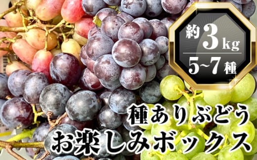 無農薬 ジベレリン処理なし種ありぶどう お楽しみボックス 計約3kg [No.207]