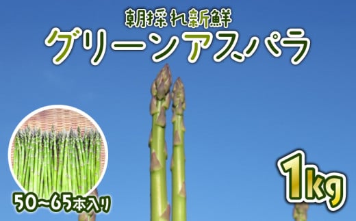 先行予約 グリーンアスパラ 1kg (50~65本入り) 朝採れ 新鮮 令和7年産 アスパラ アスパラガス 弁当 おかず 肉 巻き ベーコン に合う 甘い 柔らかい 特産品 野菜 春野菜 星野農園 新潟 新潟県 新発田産 新発田市 hoshino001